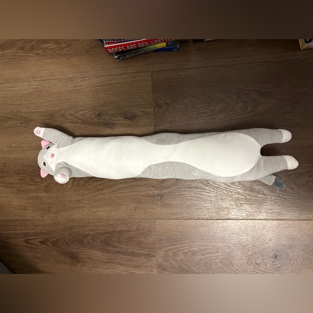 Long Plush Cat